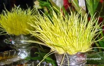 Tikaa and Jamaraa (Bijaya Dashami)