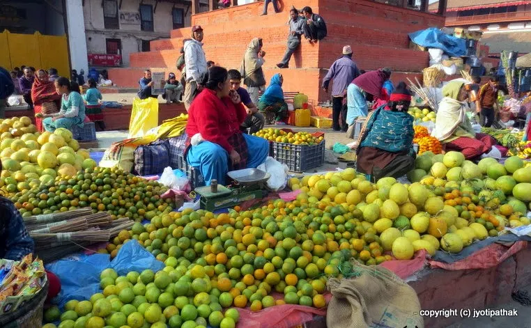 Glossary of Common Fruits of Nepal (English-Nepali) - Part I