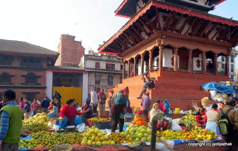 Glossary of Common Fruits of Nepal (English-Nepali) - Part I