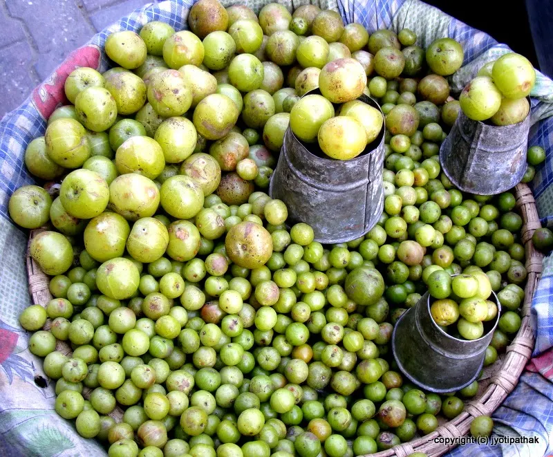 Gooseberry, Indian - Amalaa - (अमला) - Emblica officinalis