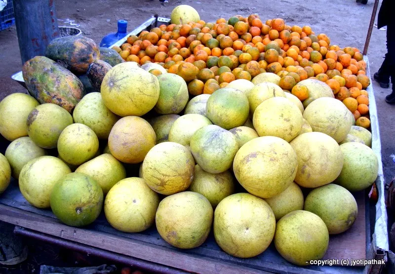 Grapefruit - Sankhatro - (संखत्रो)