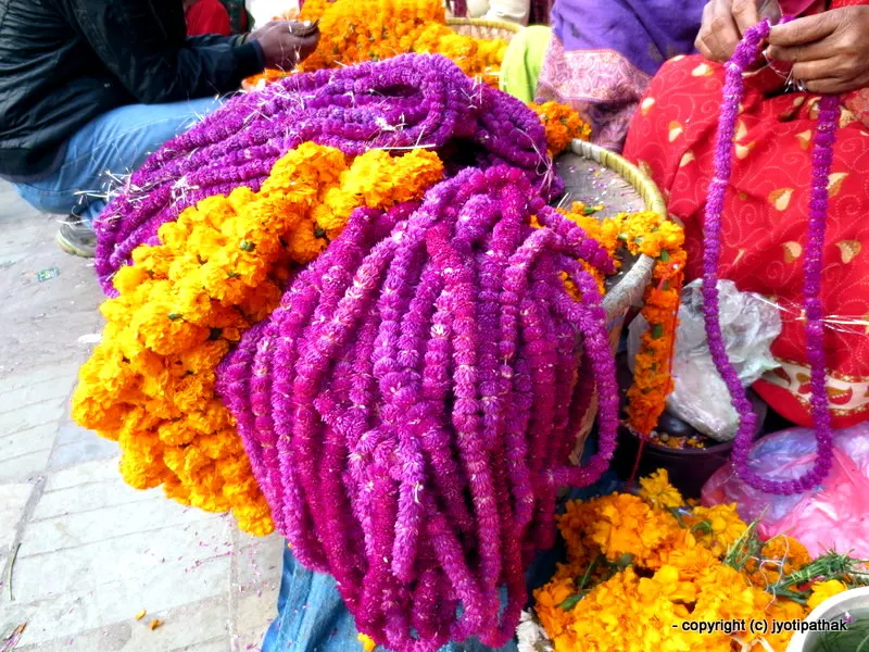 2016 - Happy Deepawali-Tihar-Bhai Tika