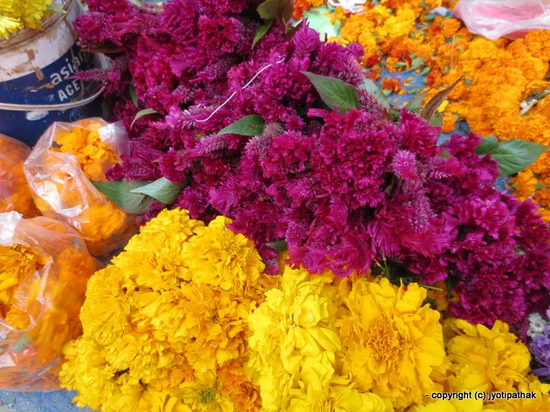 2016 - Happy Deepawali-Tihar-Bhai Tika