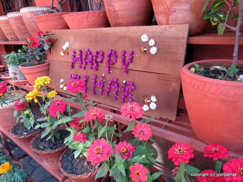 2016 - Happy Deepawali-Tihar-Bhai Tika