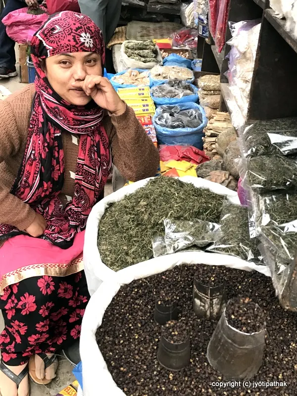 Jimbu – Nepalese Allium (Herb)